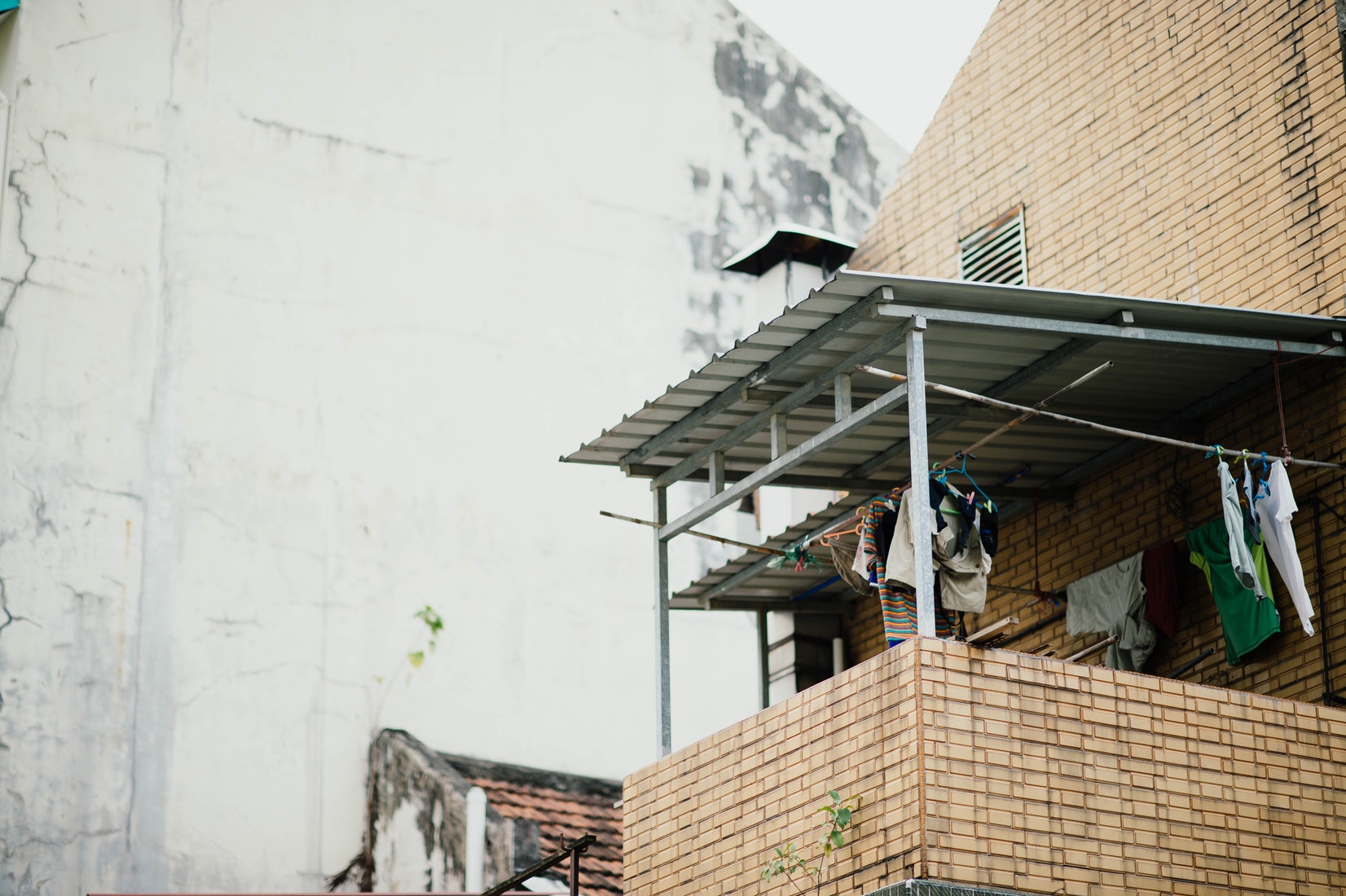 Mold Damage Mold Restoration Services Long Beach CA