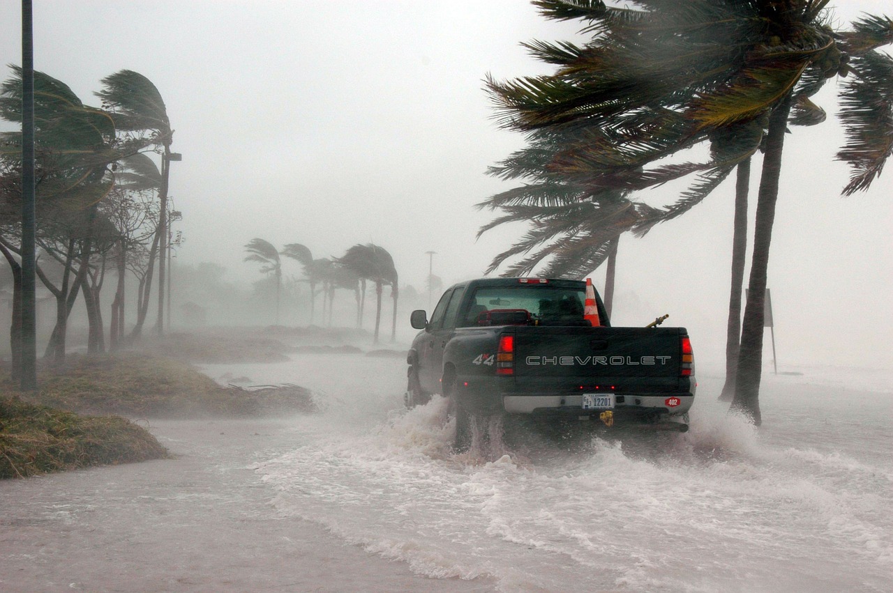 Long Beach Water Damage Company