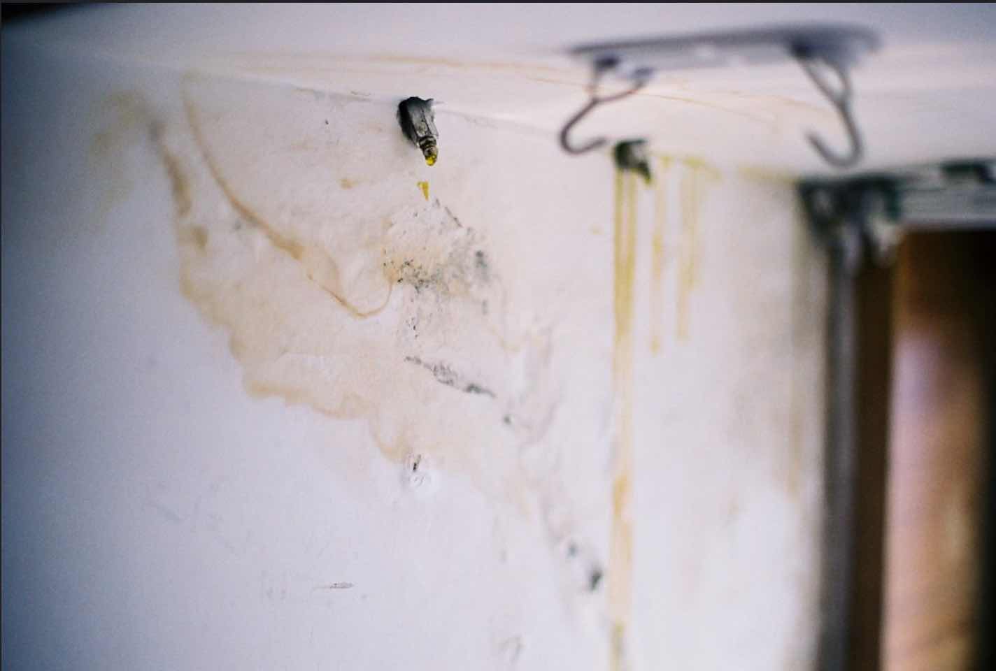 Long Beach Water Damage Company