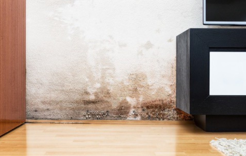 Long Beach Water Damage Experts