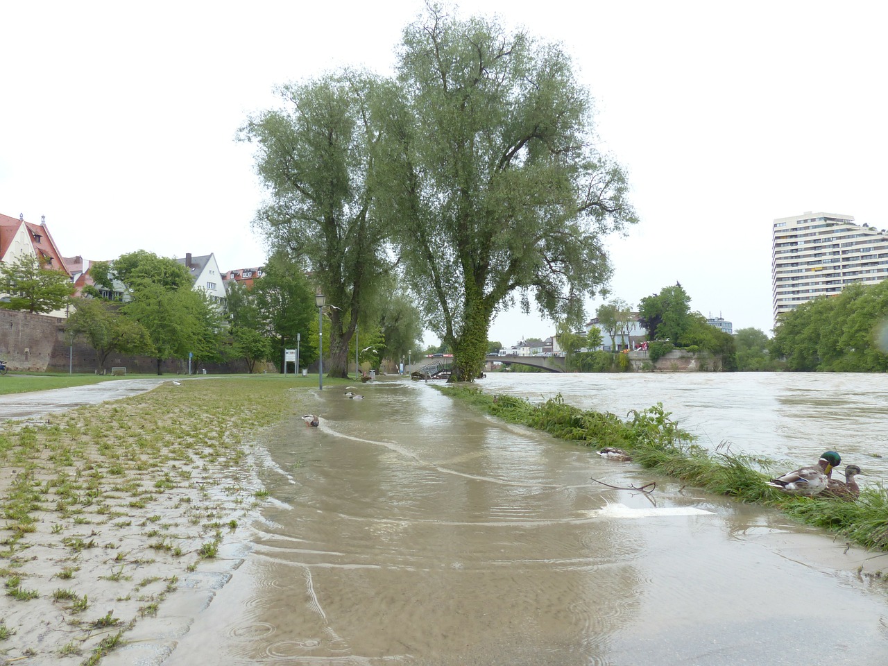 Water Damage Expert Long Beach CA