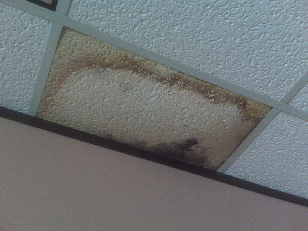 Long Beach Water Damage Company