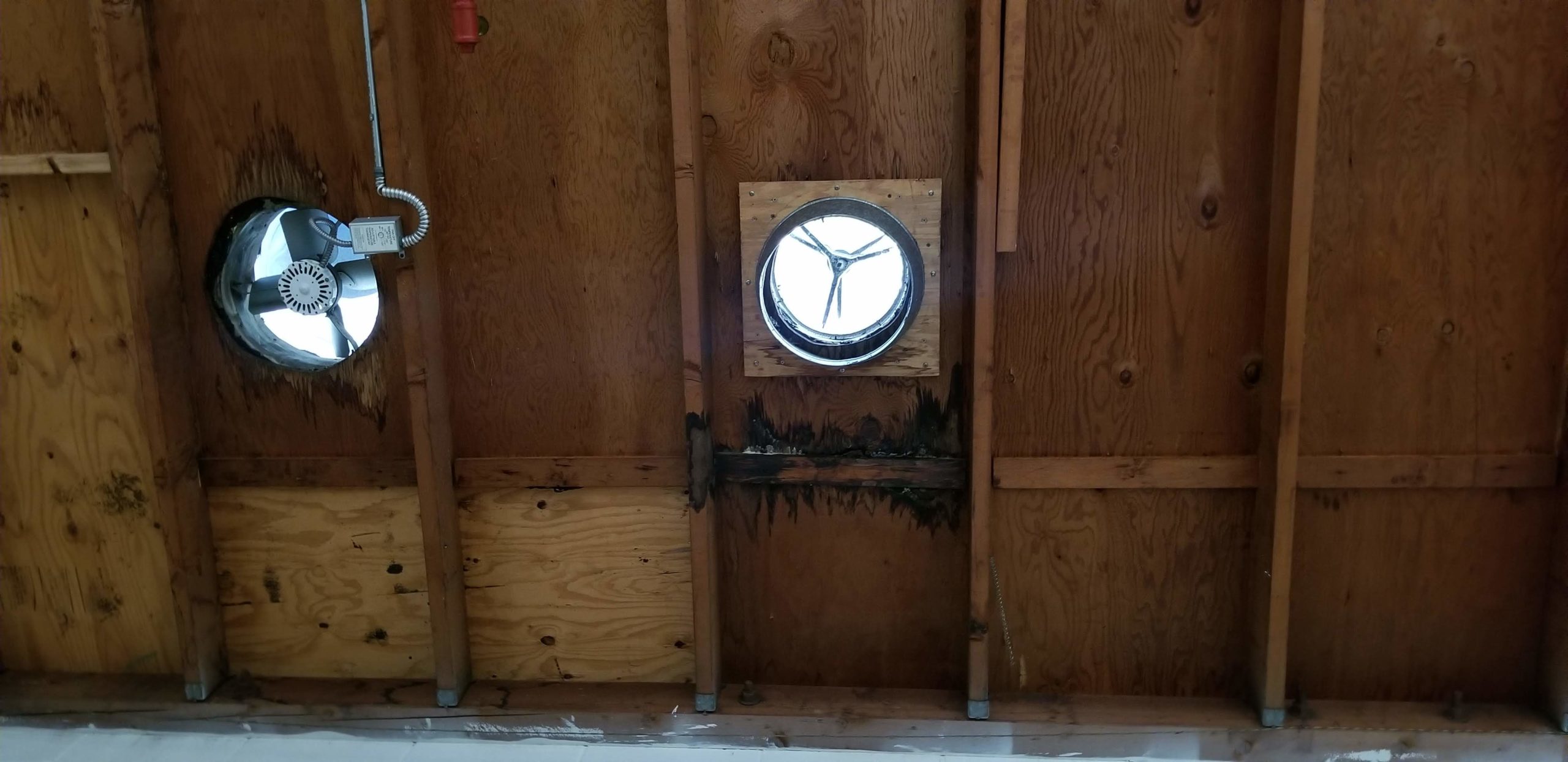 Long Beach Water Damage Company