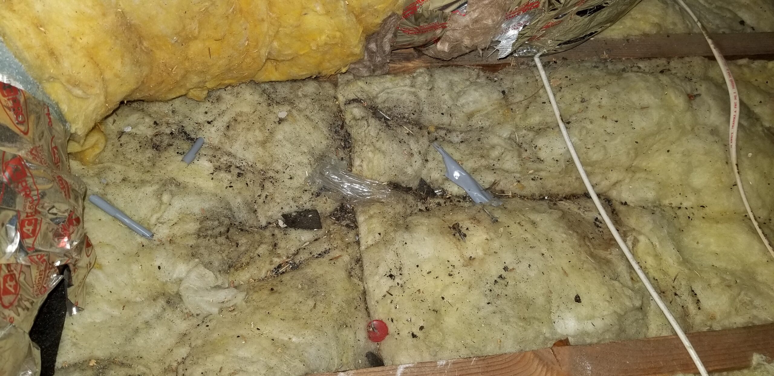 Mold Inspection Mold Testing Company Long Beach CA