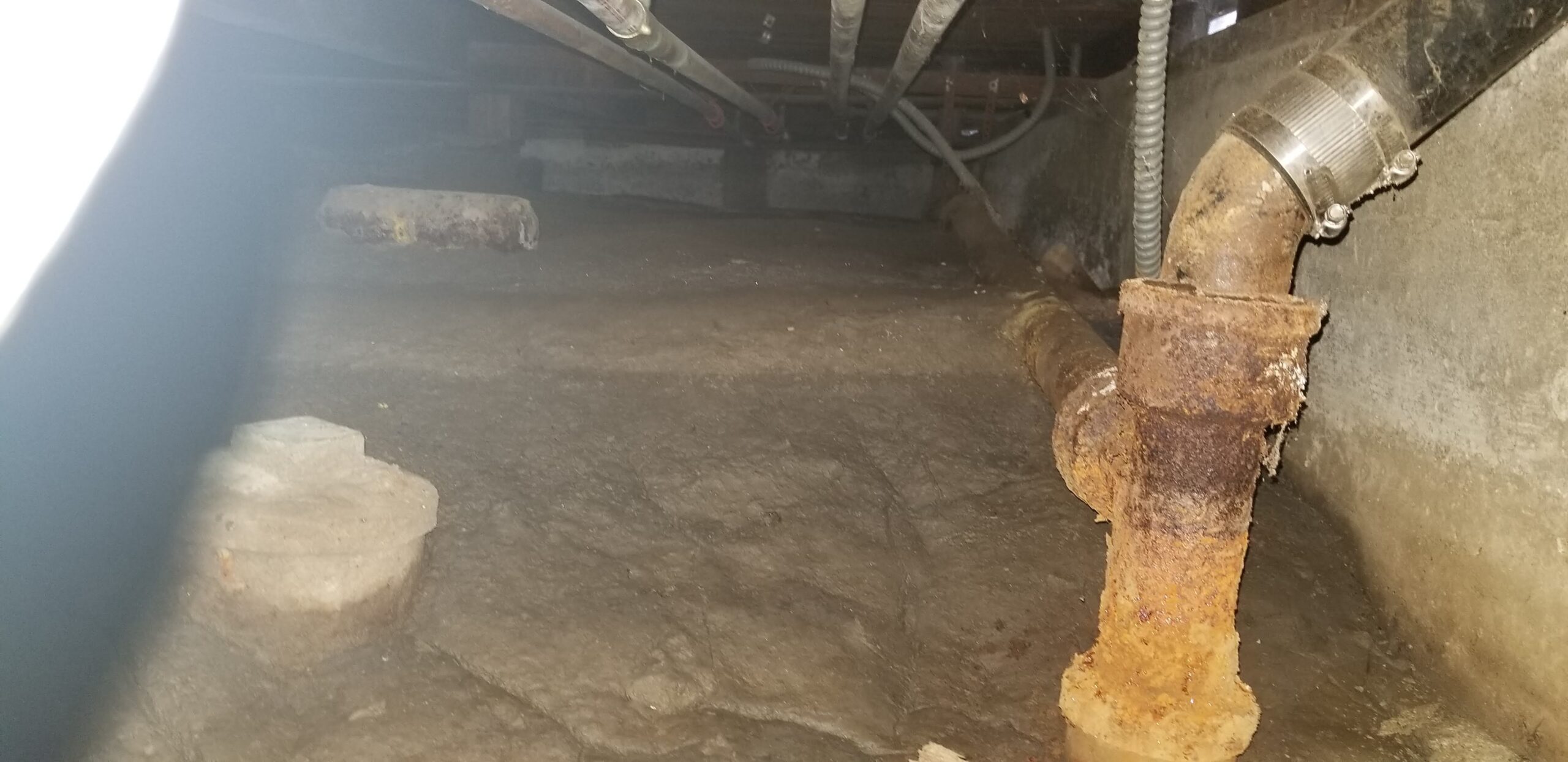 Mold Inspection Long Beach Plumbing Company