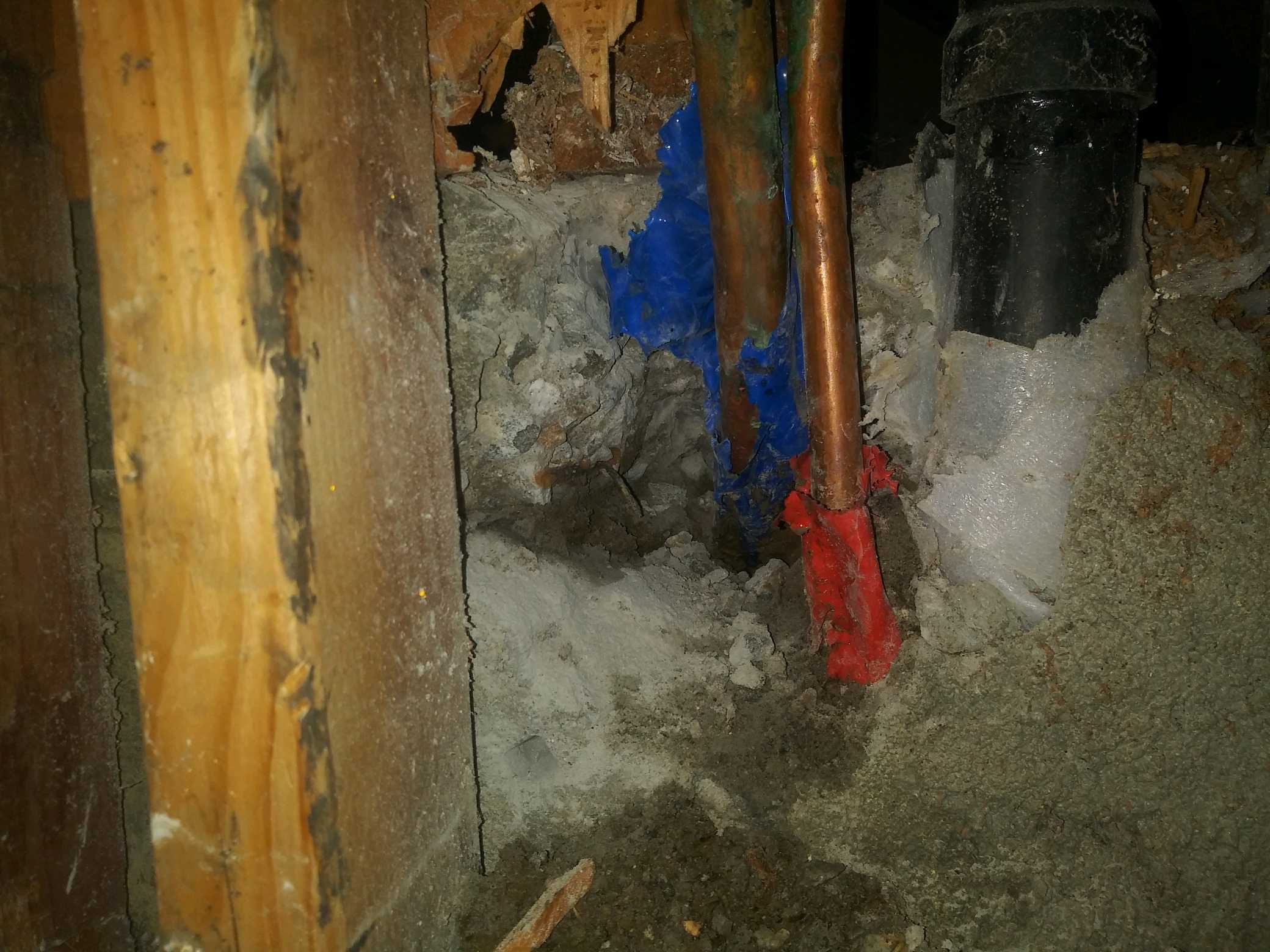 Mold Remediation Company Long Beach CA