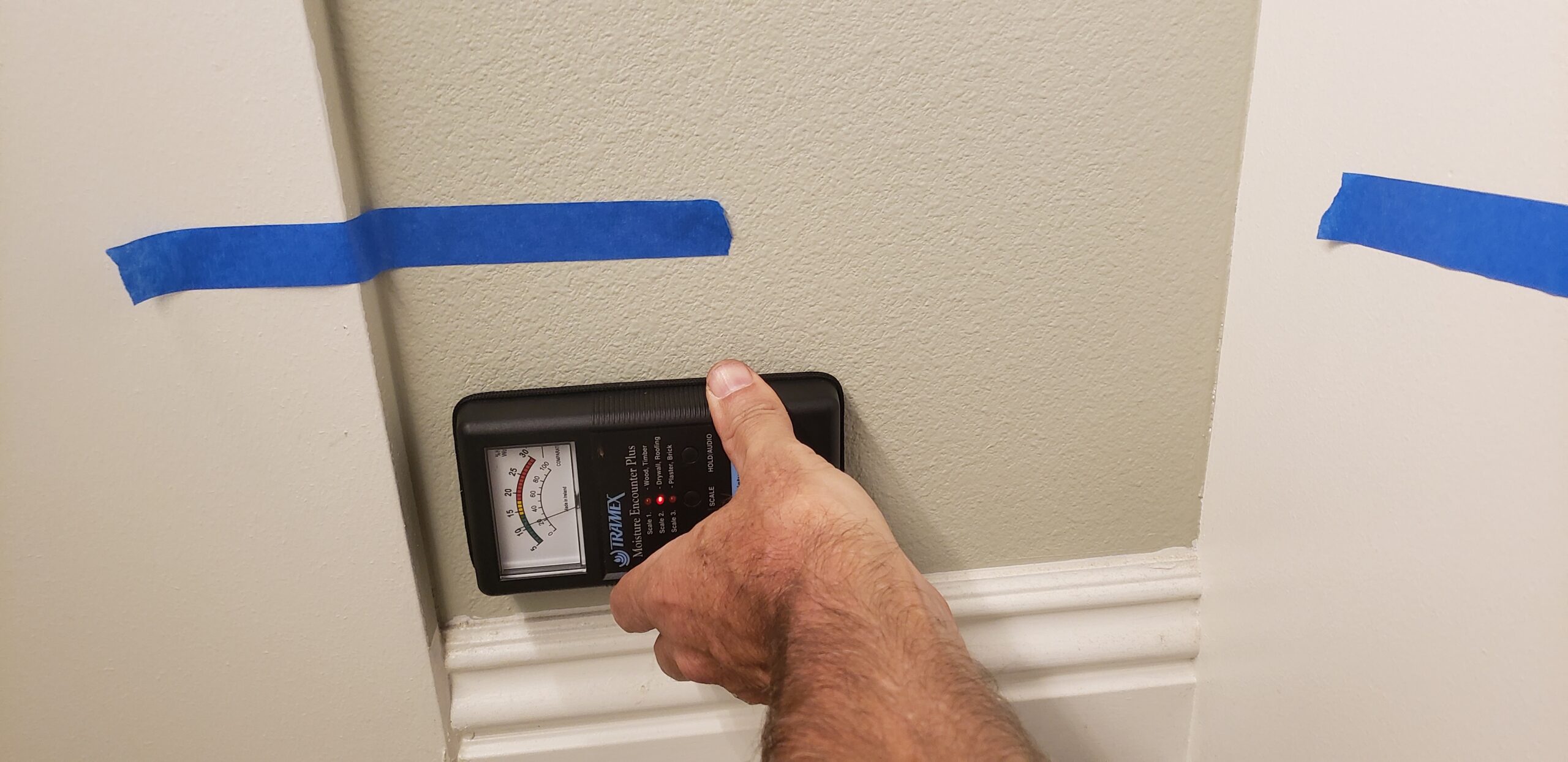 Mold Remediation Long Beach CA