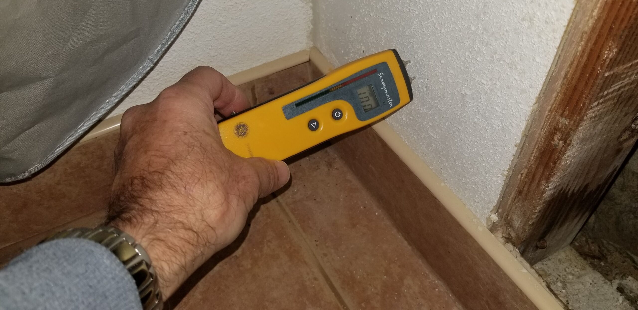 Mold Testing and Remediation Long Beach CA