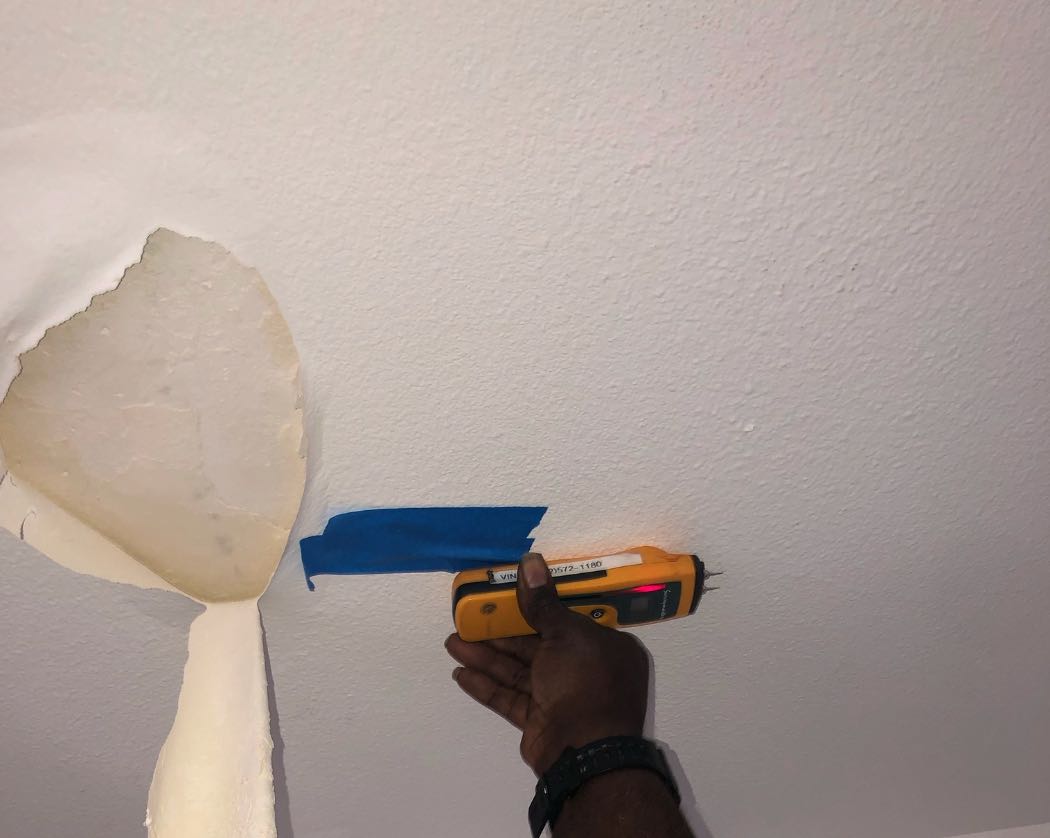 Mold Remediation Company Long Beach CA