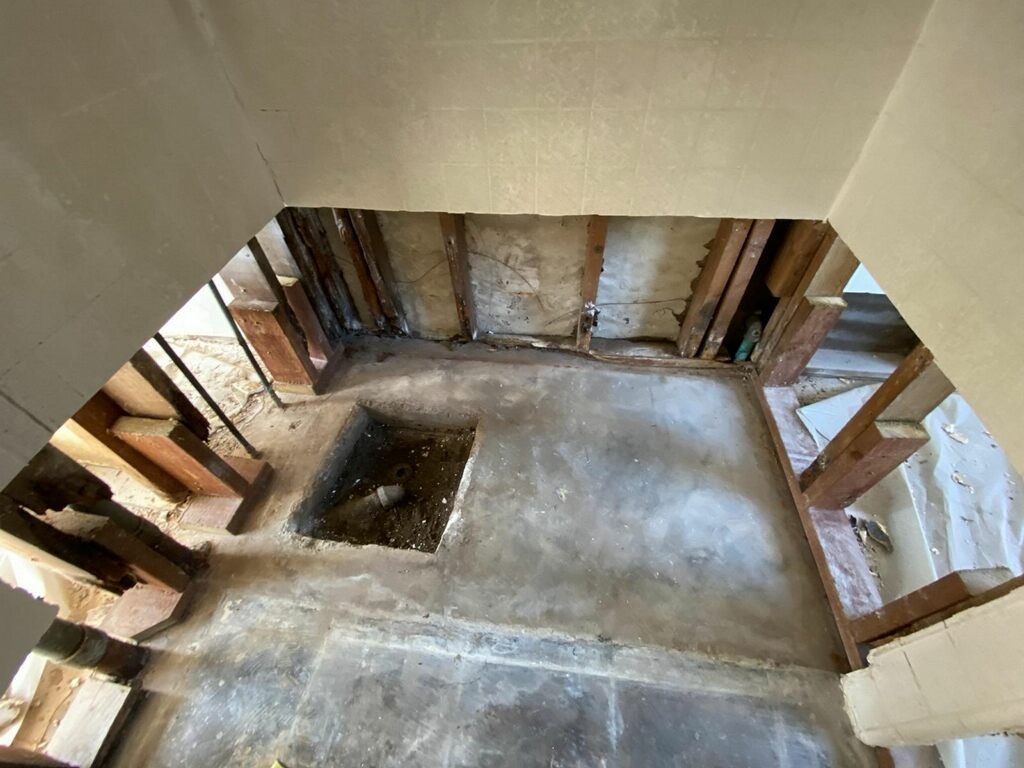 Mold Remediation Company Long Beach CA
