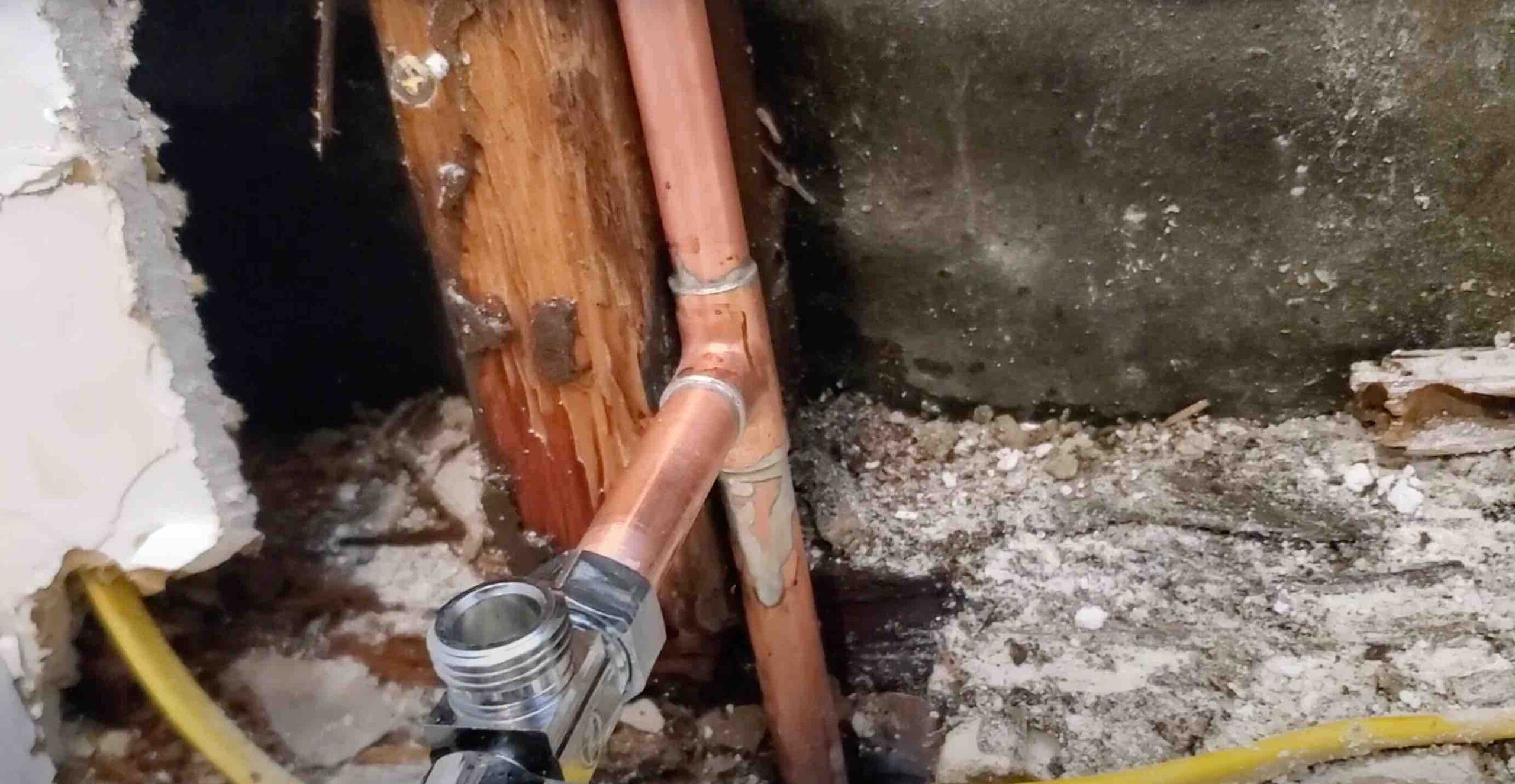 Mold Remediation Long Beach CA | Water Damage Restoration Long Beach CA